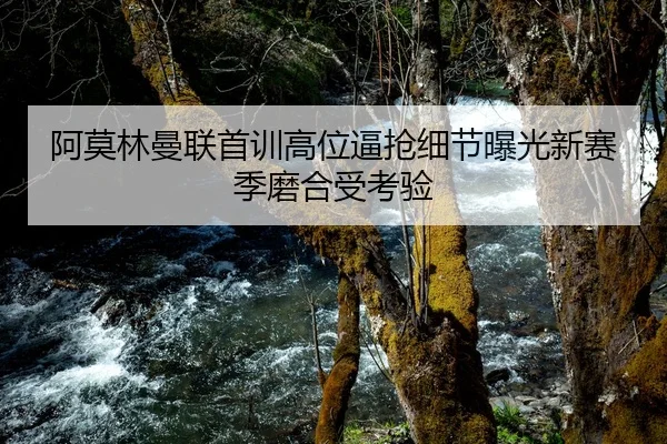 阿莫林曼联首训高位逼抢细节曝光新赛季磨合受考验